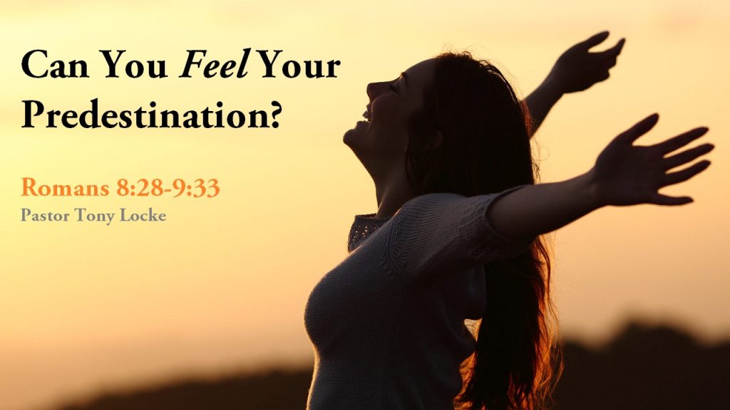 Can We Feel Predestination Romans 8 28 9 33 Anthony R Locke Associate Reformed Presbyterian Synod